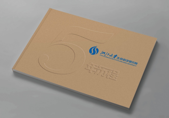 新穎面粉包裝設(shè)計(jì) 新穎面粉包裝設(shè)計(jì)